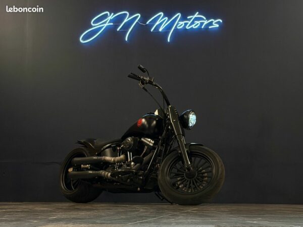 Harley-davidson softail slim s preparation riks – preparation unique